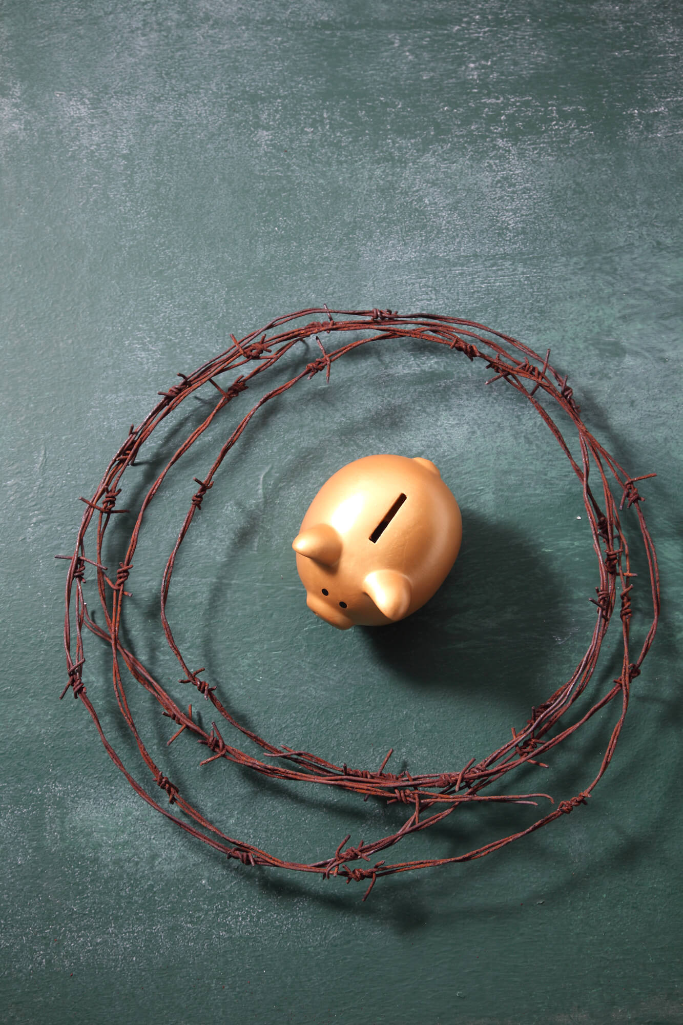 piggy bank surrounded by barbed wire